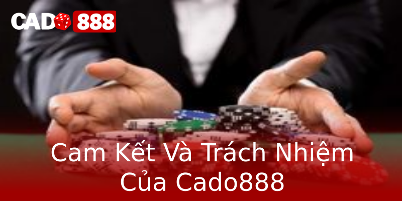 Cam Kết Và Trách Nhiệm Của Cado888 Cam Kết Và Trách Nhiệm Của Cado888