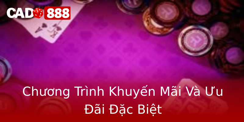 Chương Trình Khuyến Mãi Và Ưu Đãi Đặc Biệt Chương Trình Khuyến Mãi Và Ưu Đãi Đặc Biệt