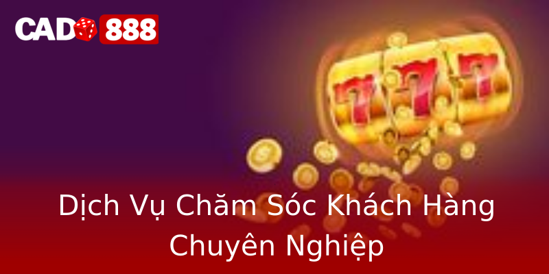 Dịch Vụ Chăm Sóc Khách Hàng Chuyên Nghiệp Dịch Vụ Chăm Sóc Khách Hàng Chuyên Nghiệp