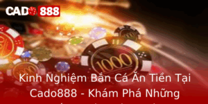 Kinh Nghiem Ban Ca An Tien Tai Cado888 Kham Pha Nhung Chien Thuat Thanh Cong