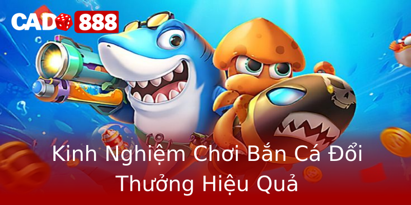 Kinh Nghiệm Chơi Bắn Cá Đổi Thưởng Hiệu Quả Kinh Nghiệm Chơi Bắn Cá Đổi Thưởng Hiệu Quả