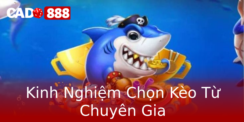Kinh Nghiệm Chọn Kèo Từ Chuyên Gia Kinh Nghiệm Chọn Kèo Từ Chuyên Gia