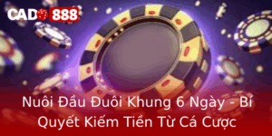 Nuoi Au Uoi Khung 6 Ngay Bi Quyet Kiem Tien Tu Ca Cuoc Online