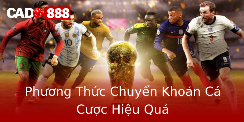 Phương Thức Chuyển Khoản Cá Cược Hiệu Quả Phương Thức Chuyển Khoản Cá Cược Hiệu Quả