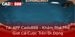 Tai App Cado888 Kham Pha The Gioi Ca Cuoc Tren Di Ong