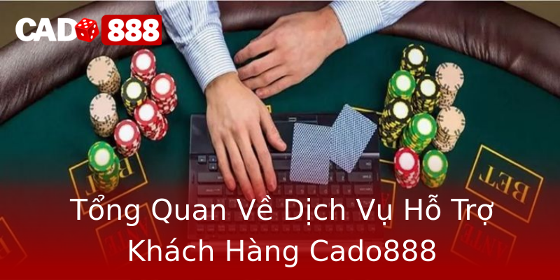 Tổng Quan Về Dịch Vụ Hỗ Trợ Khách Hàng Cado888 Tổng Quan Về Dịch Vụ Hỗ Trợ Khách Hàng Cado888