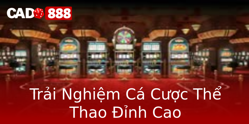 Trải Nghiệm Cá Cược Thể Thao Đỉnh Cao Trải Nghiệm Cá Cược Thể Thao Đỉnh Cao